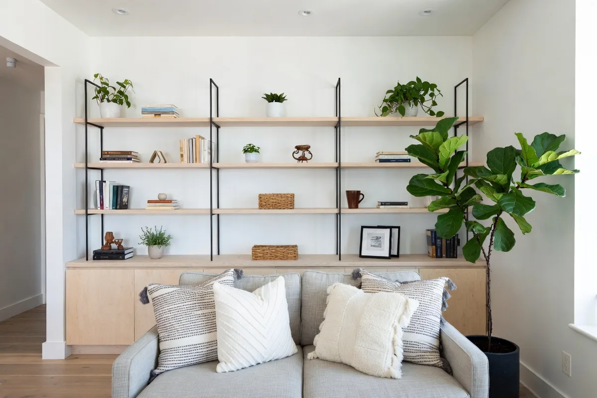 Small apartment living room with floor-to-ceiling shelves, tall plant, and vertical decor to maximize space